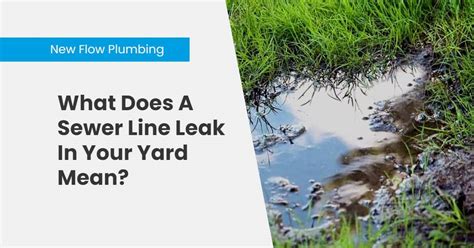 sewer leak in yard|The 8 Clear Signs of a Broken/Leaking Sewer Line